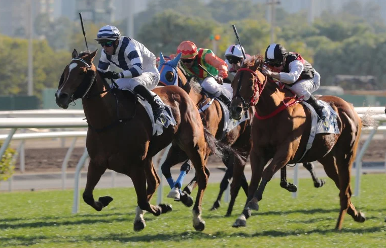 How Families of Racehorses Produce Champions