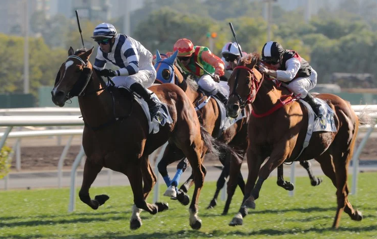 How Famous Racehorses Are Remembered Today