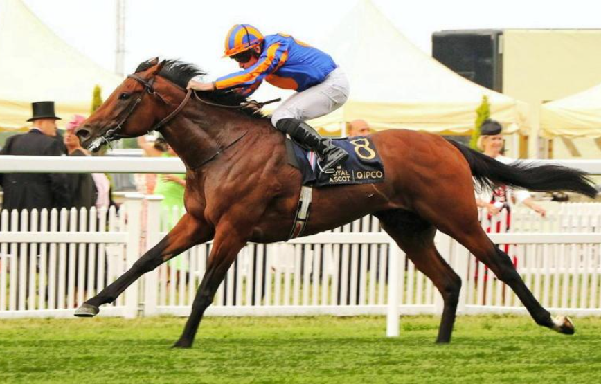 How Foals Are Raised for Racing