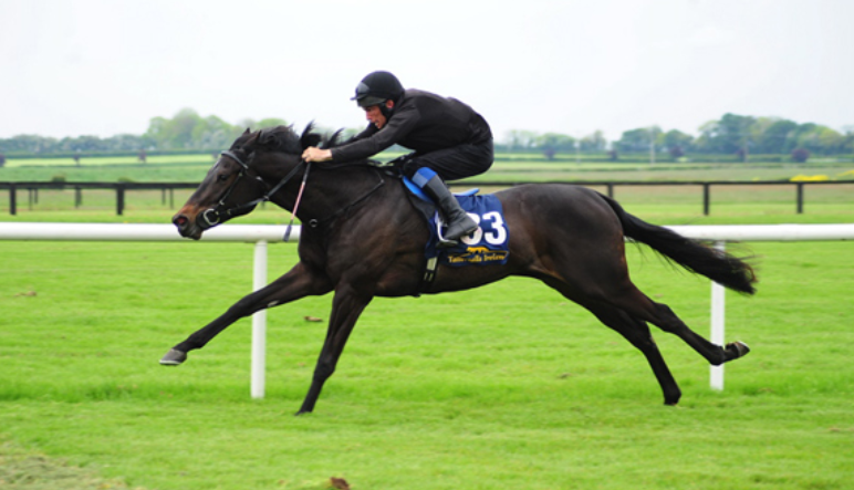 How Early Life Impacts Racing Potential