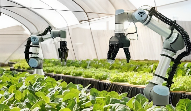 Robotics in Agriculture