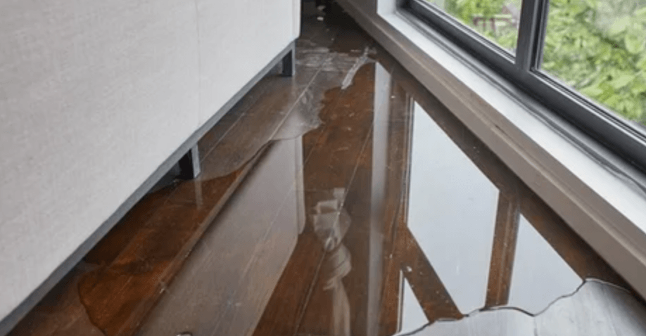 Flood Damage vs Mold Damage: Which Situation Requires Immediate Water Damage Restoration in Denver?